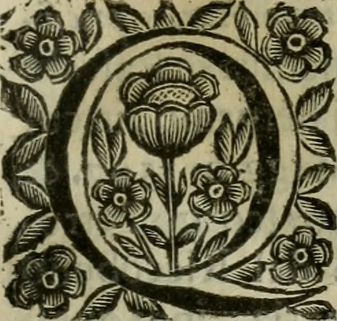 An illustration from Scena letteraria de gli scrittori bergamaschi aperta alla cvriosità de svoi concittadini .., 1664, leaf 192