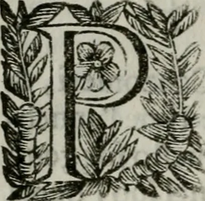 An illustration from Scena letteraria de gli scrittori bergamaschi aperta alla cvriosità de svoi concittadini .., 1664, leaf 195