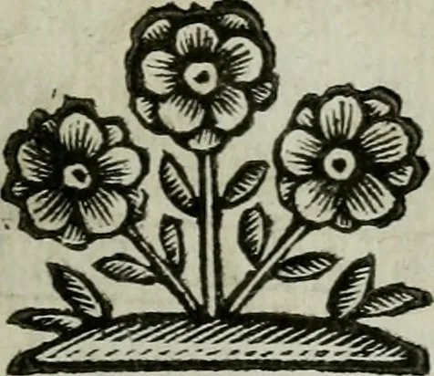 An illustration from Scena letteraria de gli scrittori bergamaschi aperta alla cvriosità de svoi concittadini .., 1664, leaf 196