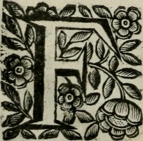 An illustration from Scena letteraria de gli scrittori bergamaschi aperta alla cvriosità de svoi concittadini .., 1664, leaf 197