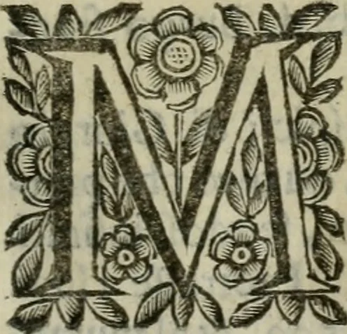 An illustration from Scena letteraria de gli scrittori bergamaschi aperta alla cvriosità de svoi concittadini .., 1664, leaf 200