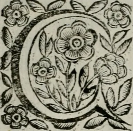 An illustration from Scena letteraria de gli scrittori bergamaschi aperta alla cvriosità de svoi concittadini .., 1664, leaf 203