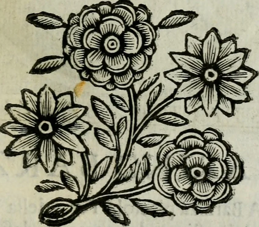 An illustration from Scena letteraria de gli scrittori bergamaschi aperta alla cvriosità de svoi concittadini .., 1664, leaf 208