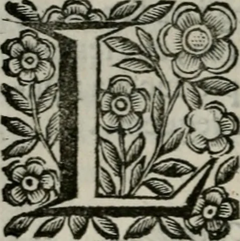 An illustration from Scena letteraria de gli scrittori bergamaschi aperta alla cvriosità de svoi concittadini .., 1664, leaf 215