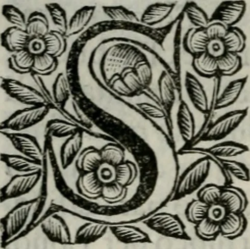 An illustration from Scena letteraria de gli scrittori bergamaschi aperta alla cvriosità de svoi concittadini .., 1664, leaf 217