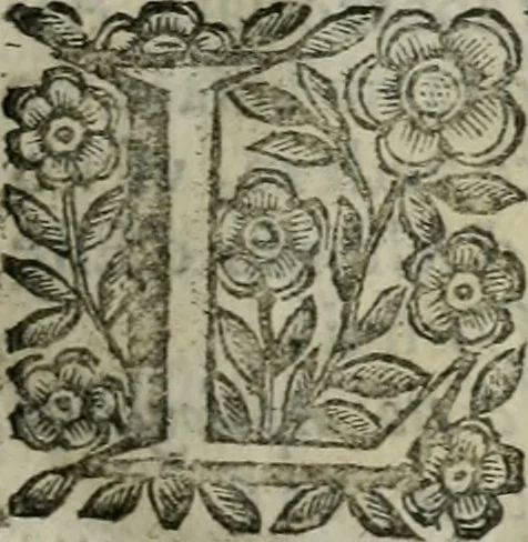 An illustration from Scena letteraria de gli scrittori bergamaschi aperta alla cvriosità de svoi concittadini .., 1664, leaf 22