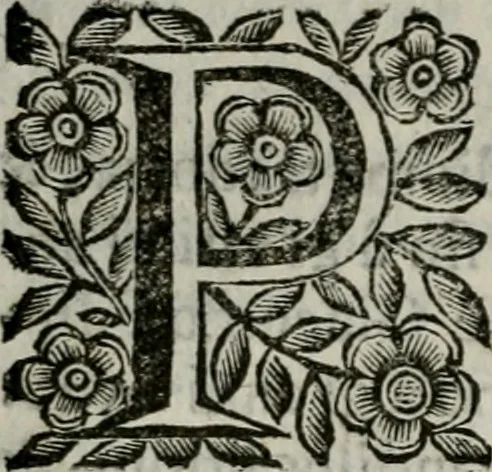 An illustration from Scena letteraria de gli scrittori bergamaschi aperta alla cvriosità de svoi concittadini .., 1664, leaf 225