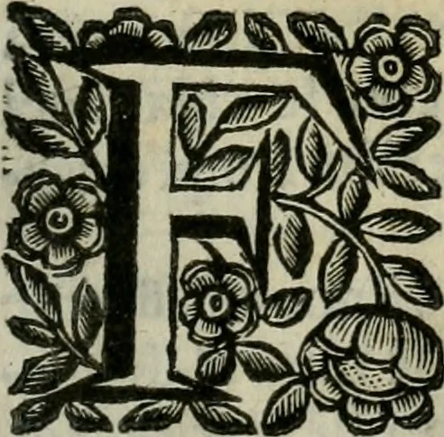 An illustration from Scena letteraria de gli scrittori bergamaschi aperta alla cvriosità de svoi concittadini .., 1664, leaf 230