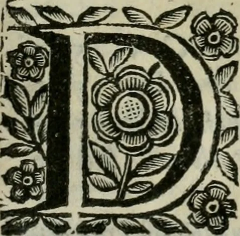 An illustration from Scena letteraria de gli scrittori bergamaschi aperta alla cvriosità de svoi concittadini .., 1664, leaf 234