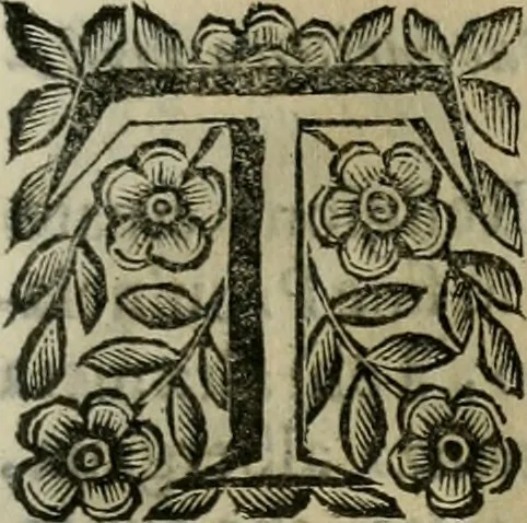 An illustration from Scena letteraria de gli scrittori bergamaschi aperta alla cvriosità de svoi concittadini .., 1664, leaf 236