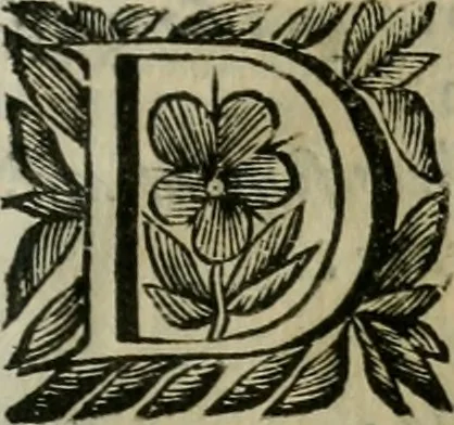An illustration from Scena letteraria de gli scrittori bergamaschi aperta alla cvriosità de svoi concittadini .., 1664, leaf 238