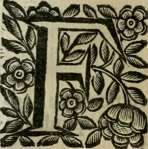 An illustration from Scena letteraria de gli scrittori bergamaschi aperta alla cvriosità de svoi concittadini .., 1664, leaf 240