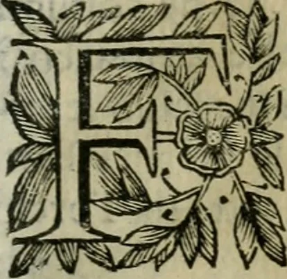 An illustration from Scena letteraria de gli scrittori bergamaschi aperta alla cvriosità de svoi concittadini .., 1664, leaf 242