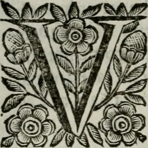 An illustration from Scena letteraria de gli scrittori bergamaschi aperta alla cvriosità de svoi concittadini .., 1664, leaf 251