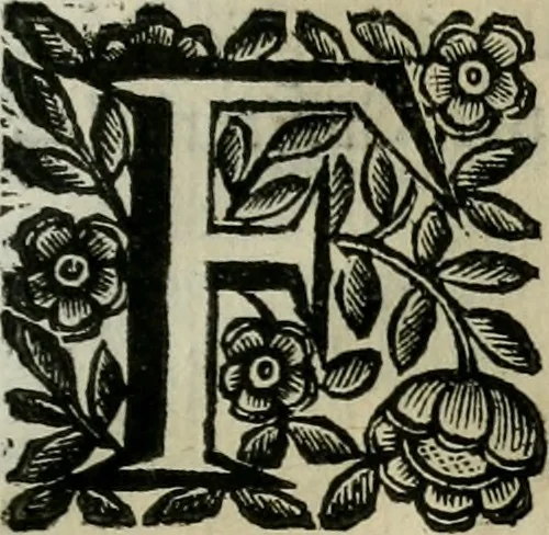 An illustration from Scena letteraria de gli scrittori bergamaschi aperta alla cvriosità de svoi concittadini .., 1664, leaf 254