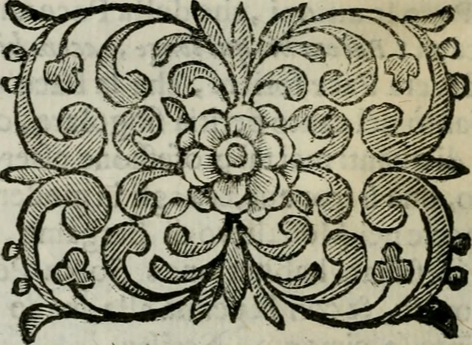 An illustration from Scena letteraria de gli scrittori bergamaschi aperta alla cvriosità de svoi concittadini .., 1664, leaf 255