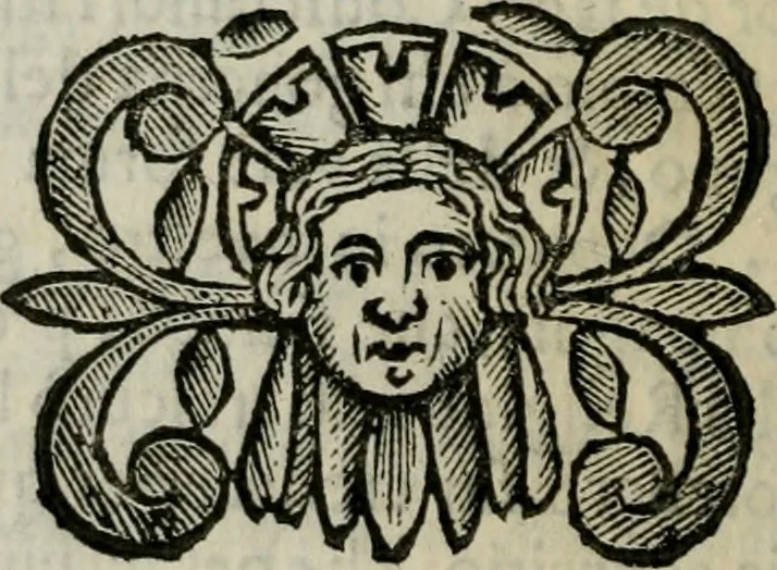 An illustration from Scena letteraria de gli scrittori bergamaschi aperta alla cvriosità de svoi concittadini .., 1664, leaf 259
