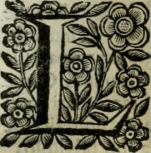 An illustration from Scena letteraria de gli scrittori bergamaschi aperta alla cvriosità de svoi concittadini .., 1664, leaf 260
