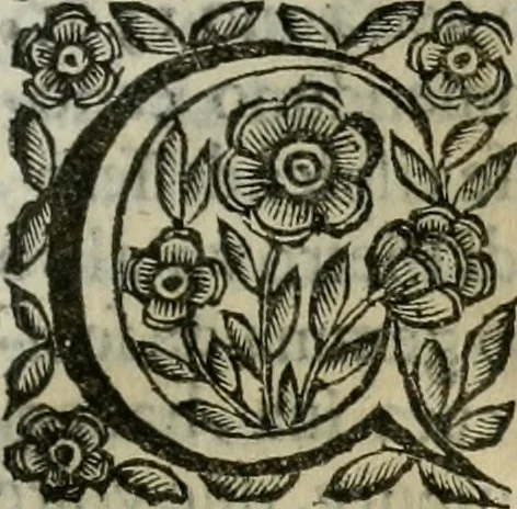 An illustration from Scena letteraria de gli scrittori bergamaschi aperta alla cvriosità de svoi concittadini .., 1664, leaf 264