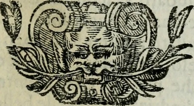An illustration from Scena letteraria de gli scrittori bergamaschi aperta alla cvriosità de svoi concittadini .., 1664, leaf 266