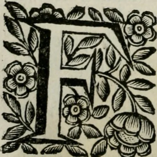 An illustration from Scena letteraria de gli scrittori bergamaschi aperta alla cvriosità de svoi concittadini .., 1664, leaf 269