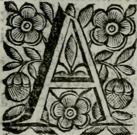 An illustration from Scena letteraria de gli scrittori bergamaschi aperta alla cvriosità de svoi concittadini .., 1664, leaf 27