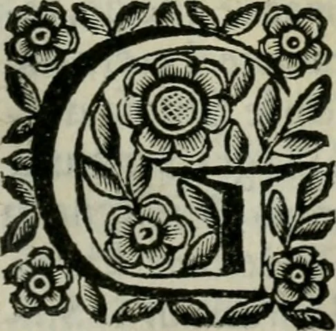 An illustration from Scena letteraria de gli scrittori bergamaschi aperta alla cvriosità de svoi concittadini .., 1664, leaf 274