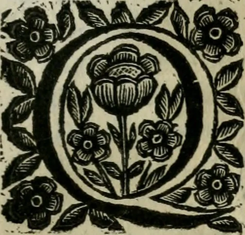 An illustration from Scena letteraria de gli scrittori bergamaschi aperta alla cvriosità de svoi concittadini .., 1664, leaf 278