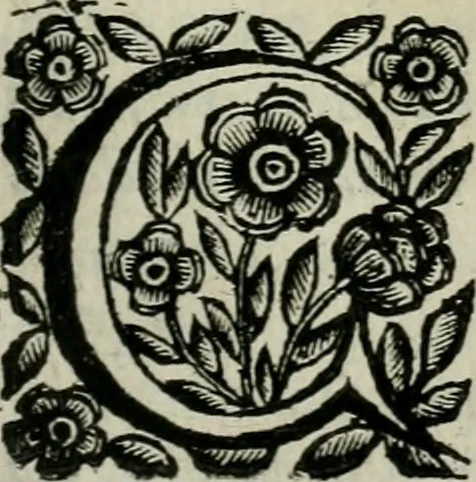 An illustration from Scena letteraria de gli scrittori bergamaschi aperta alla cvriosità de svoi concittadini .., 1664, leaf 282