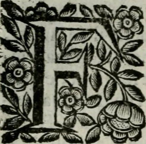 An illustration from Scena letteraria de gli scrittori bergamaschi aperta alla cvriosità de svoi concittadini .., 1664, leaf 29