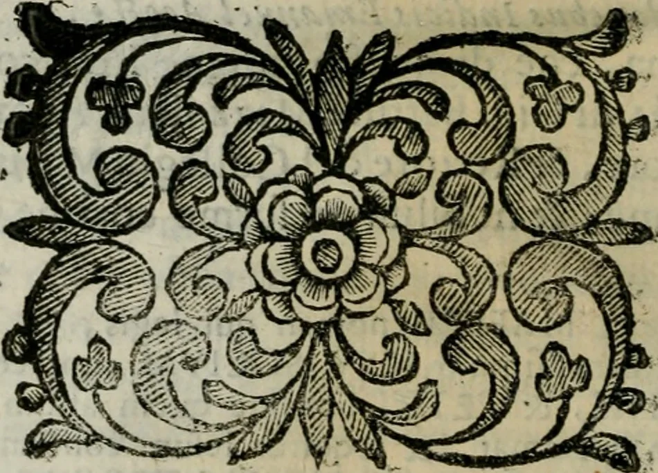 An illustration from Scena letteraria de gli scrittori bergamaschi aperta alla cvriosità de svoi concittadini .., 1664, leaf 293