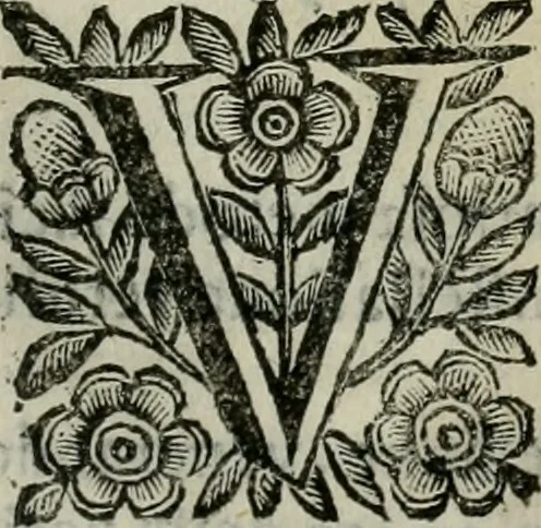 An illustration from Scena letteraria de gli scrittori bergamaschi aperta alla cvriosità de svoi concittadini .., 1664, leaf 294