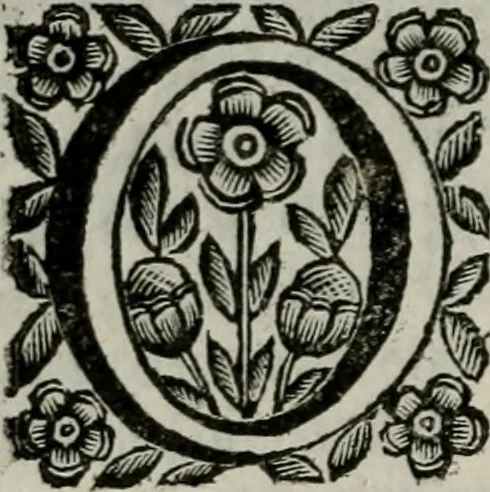 An illustration from Scena letteraria de gli scrittori bergamaschi aperta alla cvriosità de svoi concittadini .., 1664, leaf 297