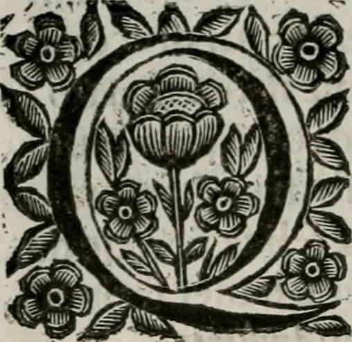 An illustration from Scena letteraria de gli scrittori bergamaschi aperta alla cvriosità de svoi concittadini .., 1664, leaf 299