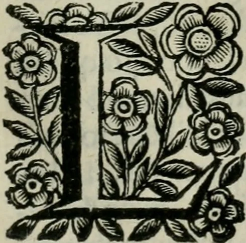 An illustration from Scena letteraria de gli scrittori bergamaschi aperta alla cvriosità de svoi concittadini .., 1664, leaf 302