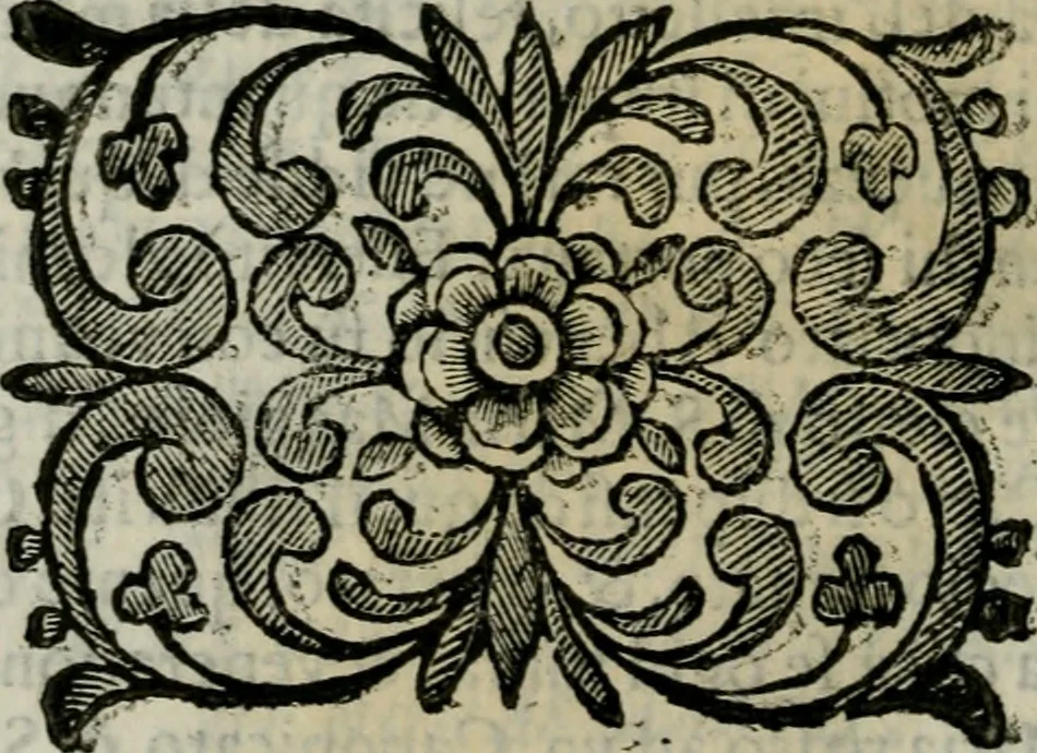An illustration from Scena letteraria de gli scrittori bergamaschi aperta alla cvriosità de svoi concittadini .., 1664, leaf 307