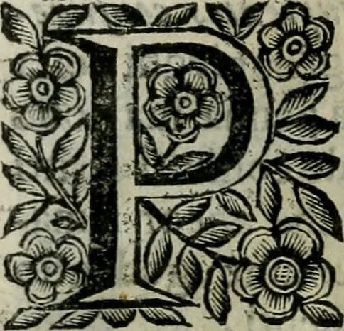 An illustration from Scena letteraria de gli scrittori bergamaschi aperta alla cvriosità de svoi concittadini .., 1664, leaf 308