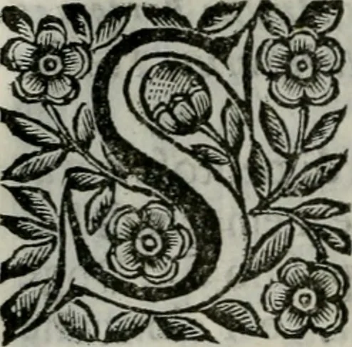An illustration from Scena letteraria de gli scrittori bergamaschi aperta alla cvriosità de svoi concittadini .., 1664, leaf 31
