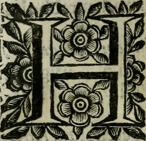 An illustration from Scena letteraria de gli scrittori bergamaschi aperta alla cvriosità de svoi concittadini .., 1664, leaf 310