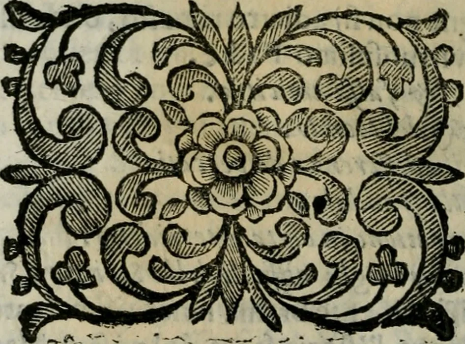 An illustration from Scena letteraria de gli scrittori bergamaschi aperta alla cvriosità de svoi concittadini .., 1664, leaf 317