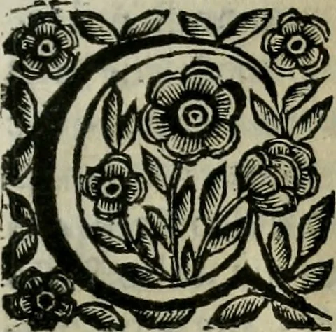 An illustration from Scena letteraria de gli scrittori bergamaschi aperta alla cvriosità de svoi concittadini .., 1664, leaf 318