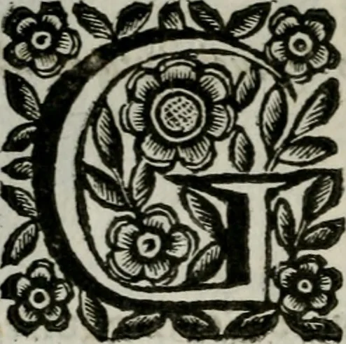An illustration from Scena letteraria de gli scrittori bergamaschi aperta alla cvriosità de svoi concittadini .., 1664, leaf 323