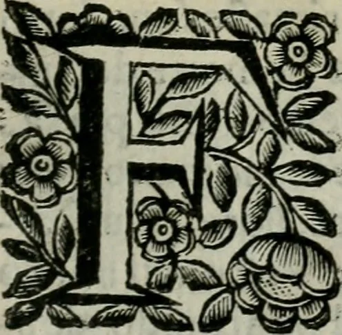 An illustration from Scena letteraria de gli scrittori bergamaschi aperta alla cvriosità de svoi concittadini .., 1664, leaf 326