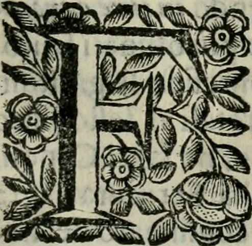 An illustration from Scena letteraria de gli scrittori bergamaschi aperta alla cvriosità de svoi concittadini .., 1664, leaf 328
