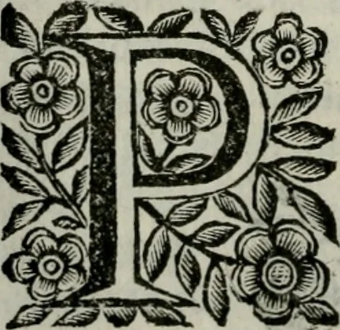 An illustration from Scena letteraria de gli scrittori bergamaschi aperta alla cvriosità de svoi concittadini .., 1664, leaf 33