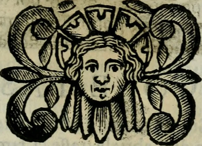 An illustration from Scena letteraria de gli scrittori bergamaschi aperta alla cvriosità de svoi concittadini .., 1664, leaf 348