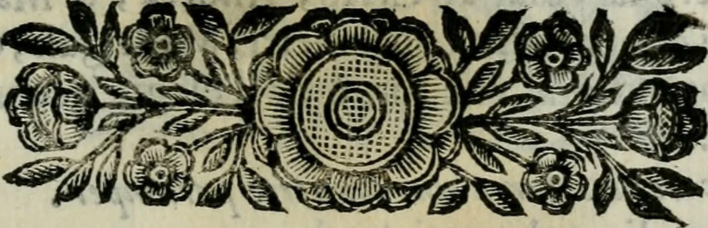 An illustration from Scena letteraria de gli scrittori bergamaschi aperta alla cvriosità de svoi concittadini .., 1664, leaf 352