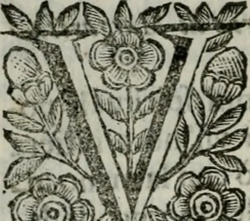 An illustration from Scena letteraria de gli scrittori bergamaschi aperta alla cvriosità de svoi concittadini .., 1664, leaf 353