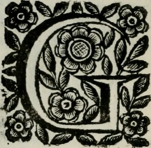 An illustration from Scena letteraria de gli scrittori bergamaschi aperta alla cvriosità de svoi concittadini .., 1664, leaf 357