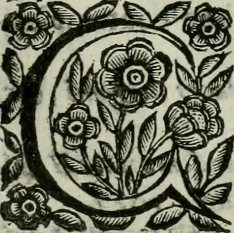 An illustration from Scena letteraria de gli scrittori bergamaschi aperta alla cvriosità de svoi concittadini .., 1664, leaf 360